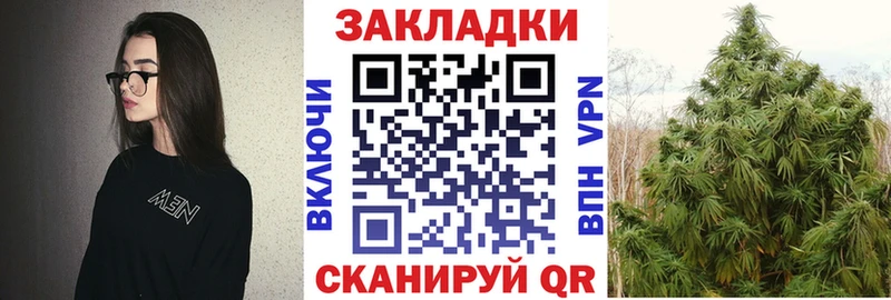Где купить наркоту Михайловск Канабис  Кокаин  ГАШ  Амфетамин  Меф мяу мяу  СК 