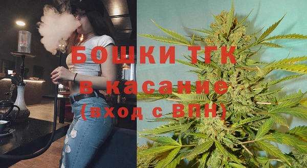 гидра Богородск