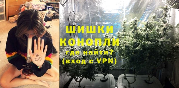 хмурый Богородицк