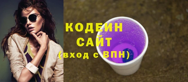 гидра Богородск