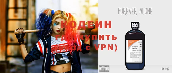 хмурый Богородицк