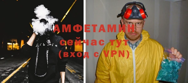 гидра Богородск