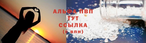 гидра Богородск