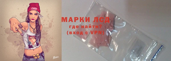 гидра Богородск