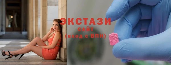 гидра Богородск