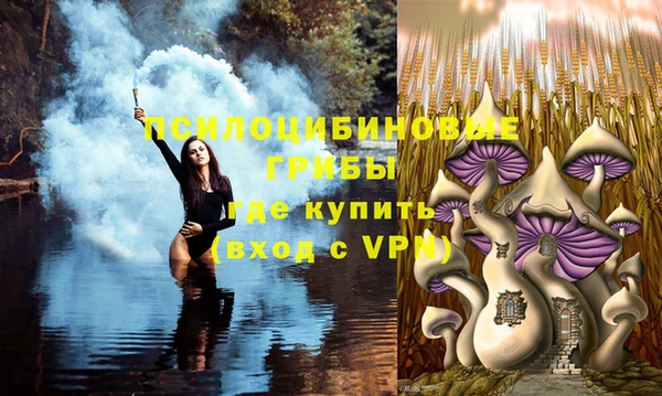 гидра Богородск
