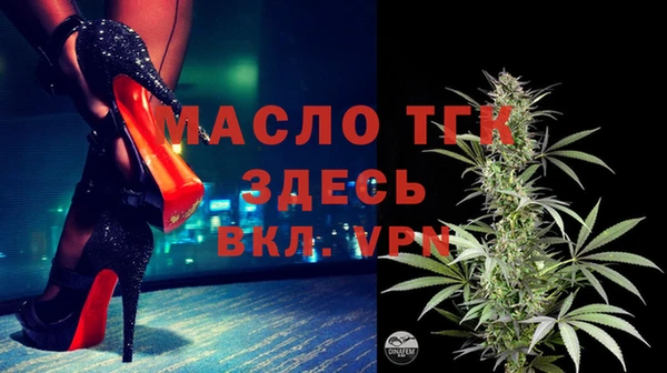 гидра Богородск