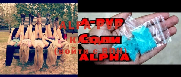 гидра Богородск
