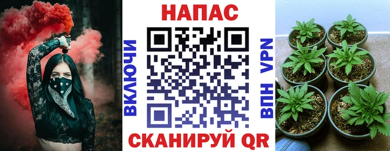 где найти   Михайловск  Марихуана MAZAR 